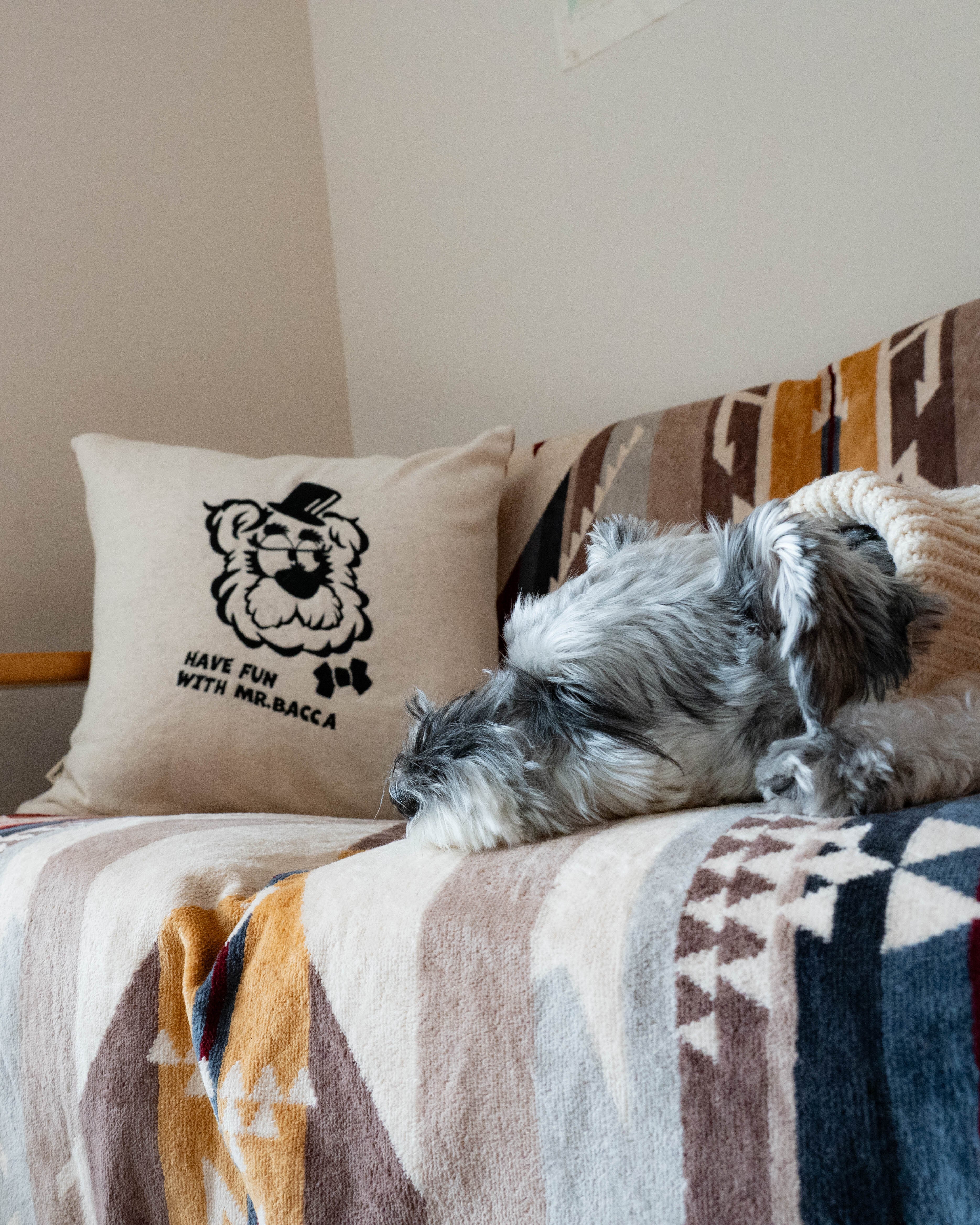 クッションカバー「MR.BACCA」 刺繍 |inunobacca
