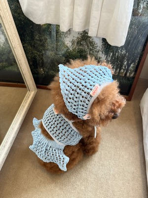 予約【pecoramou select】コテージネットニットウェアツーピース