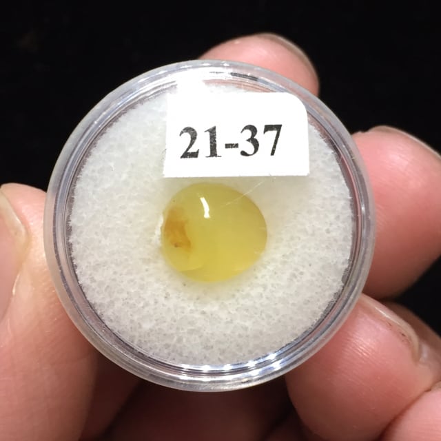 81) レモン・オパール(メロディ・コレクション)