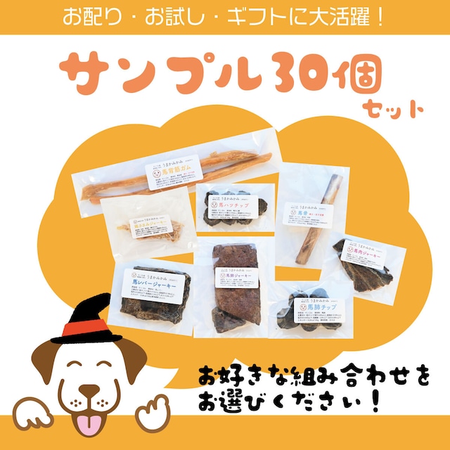 【ハロウィン】サンプル30個セット