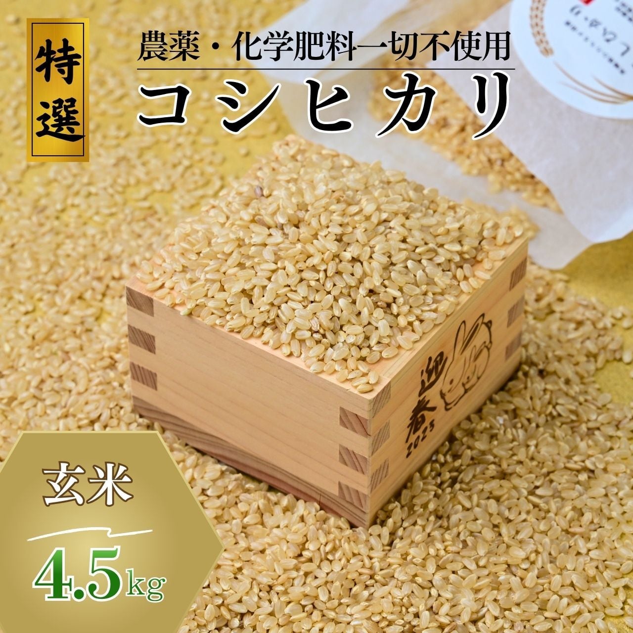令和7年産 コシヒカリ 白米 600g | KTP Nature Farm