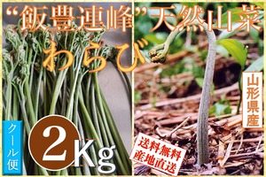 早期予約受付中 天然山菜 天然生わらび/２Kｇ 自然の恵み　限定予約販売　送料無料