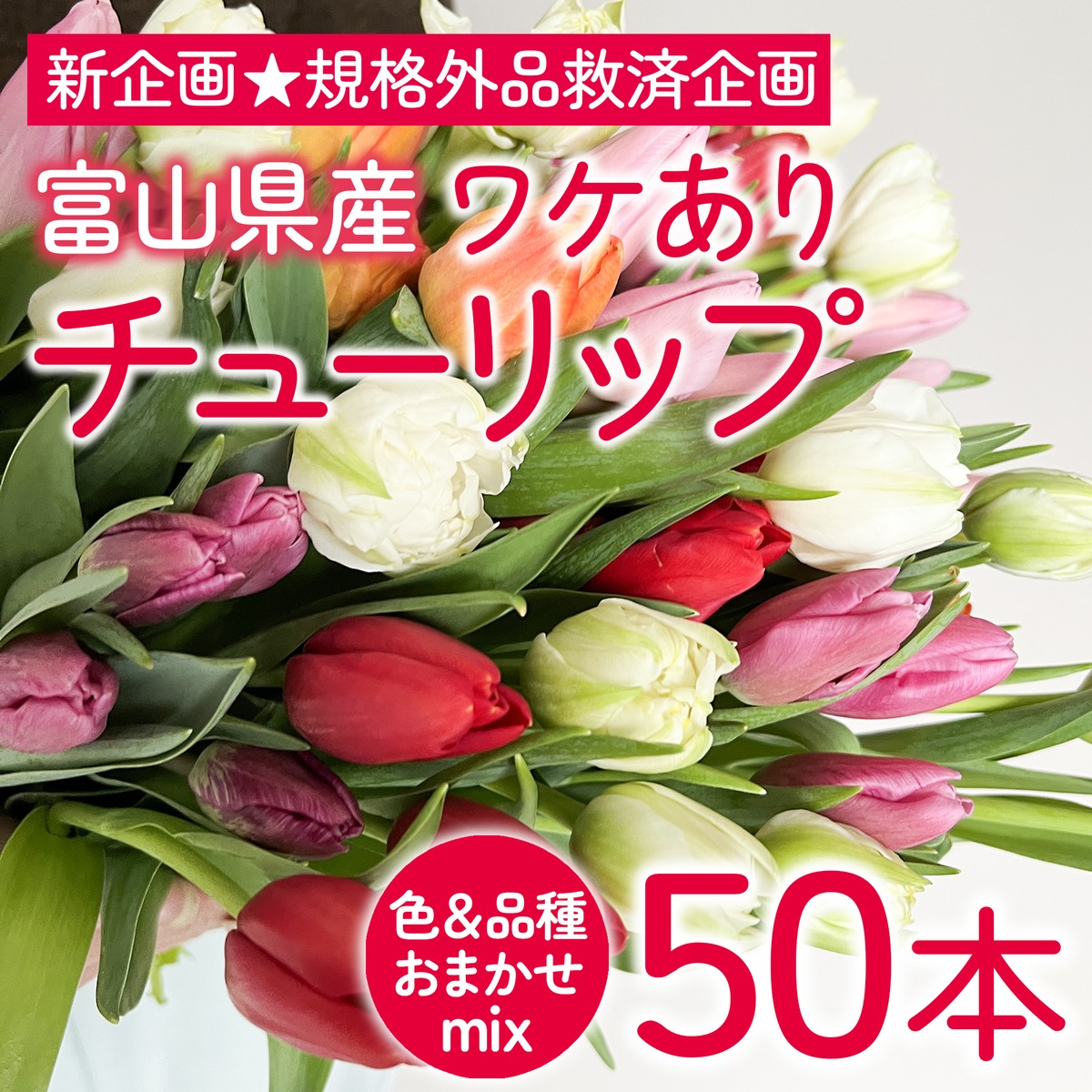 5794cded0f6a4ea270844bc25d491e 