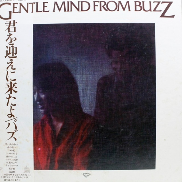 Buzz / Gentle Mind From Buzz [SKD(L)-1041] - メイン画像