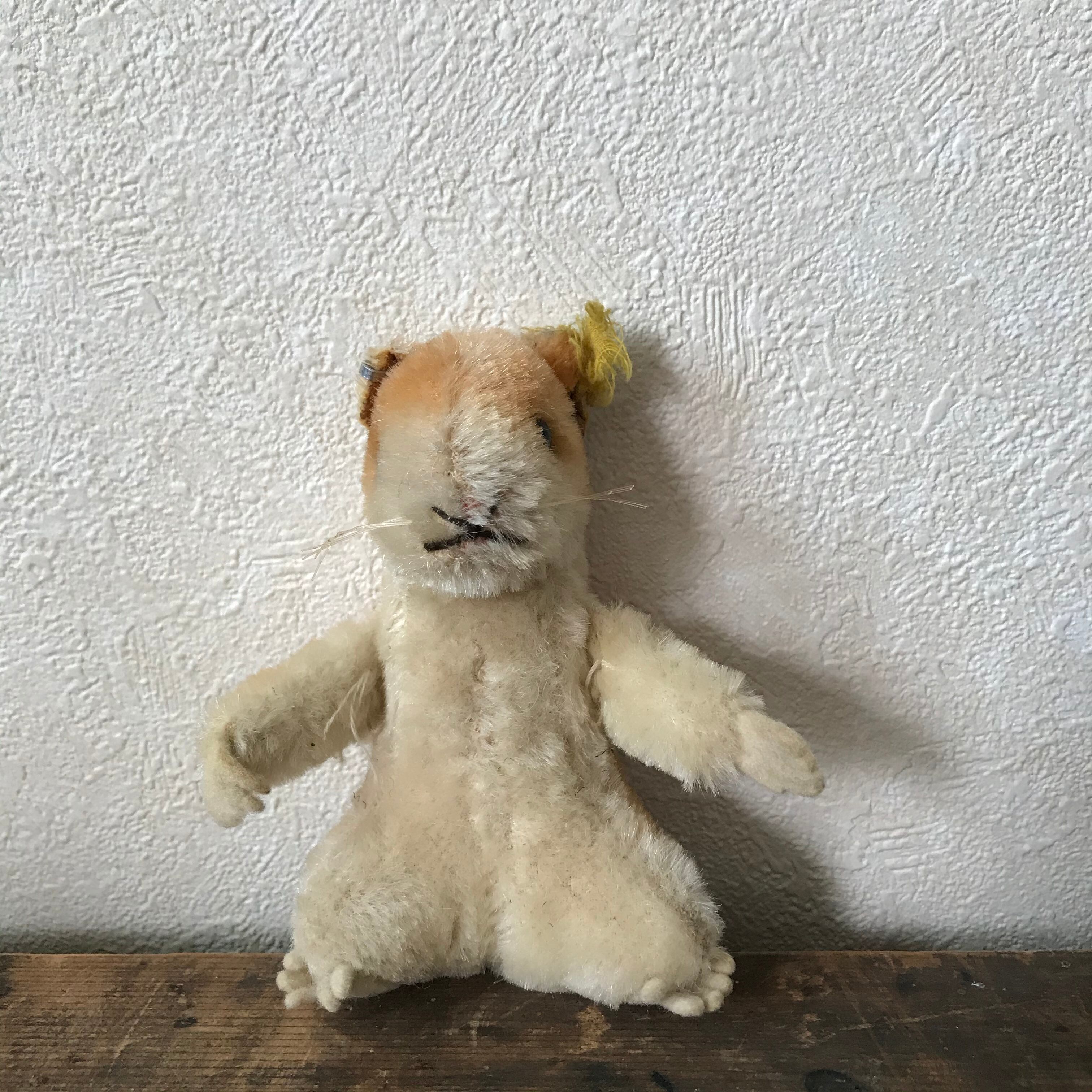 ハグ待ちのネズミ