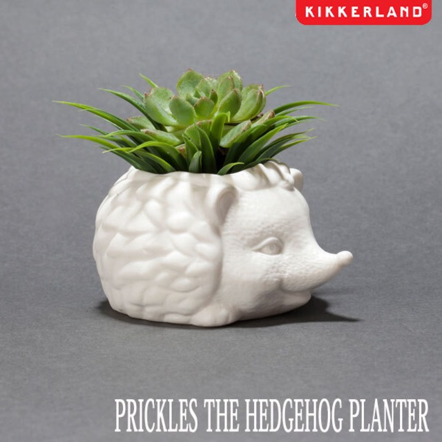 PRICKLES THE HEDGEHOG PLANTER プリックルスザヘッジホッグプランター 多肉植物 サボテン 植木鉢 KIKKERLAND キッカーランド
