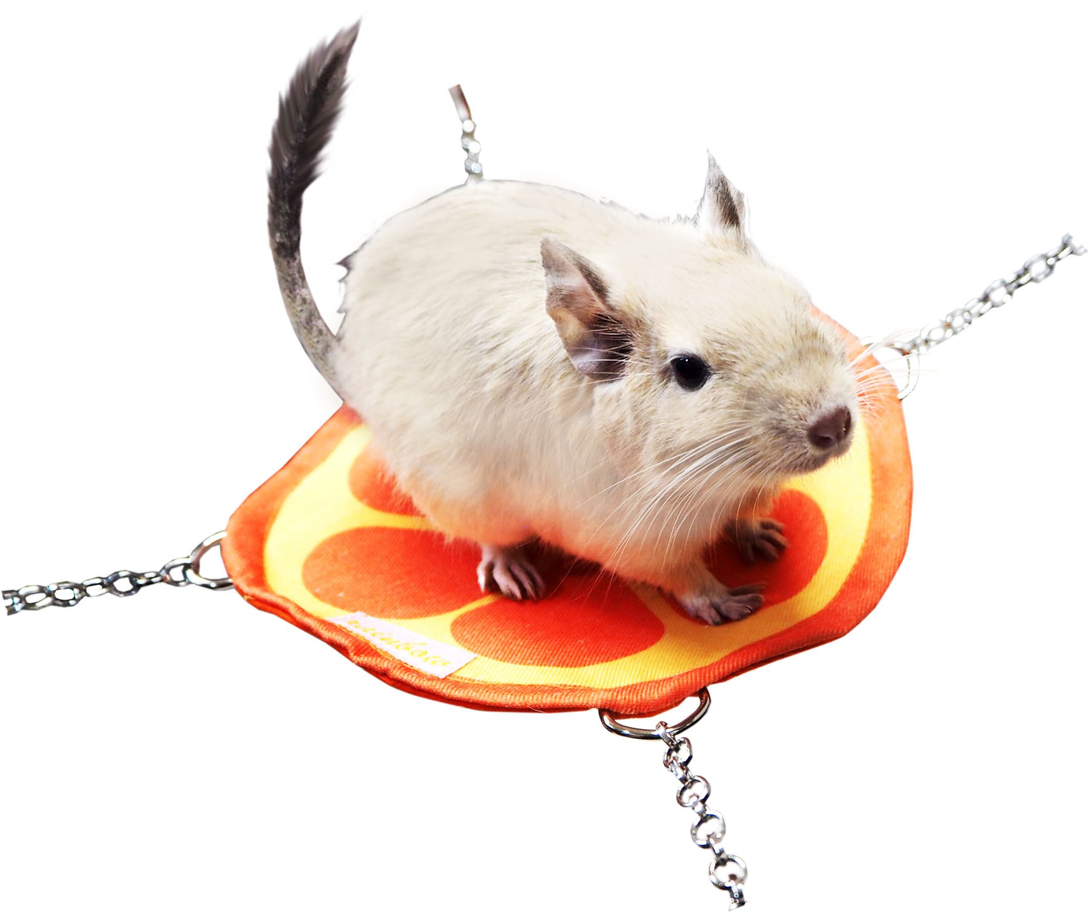 【小動物】まんまるフルーツハンモック りんご / オレンジ / キウイ