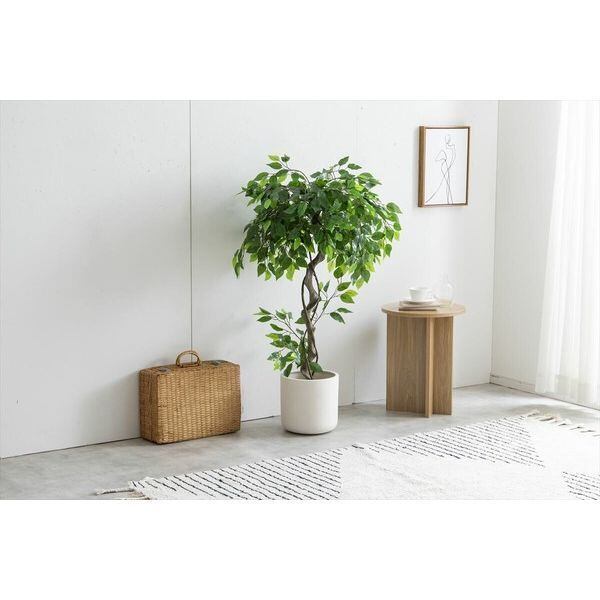 光触媒/抗菌防臭】人工観葉植物 ベンジャミン 高さ120cm 【公式通販】