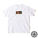 【ACAPULCO GOLD/アカプルコ ゴールド】GRADATION LOGO TEE Tシャツ / WHITE セール対象外