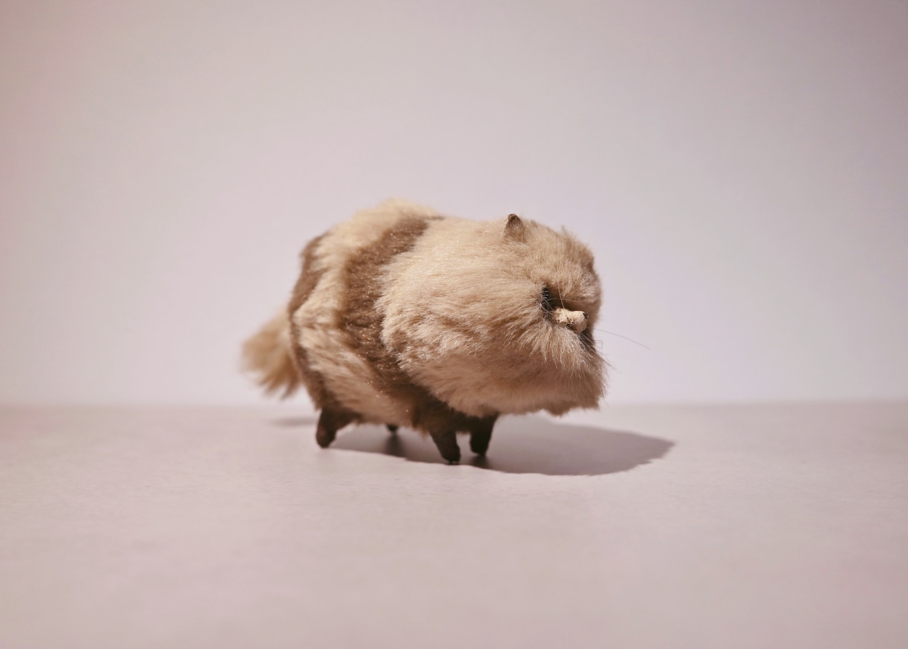 エゾタヌ