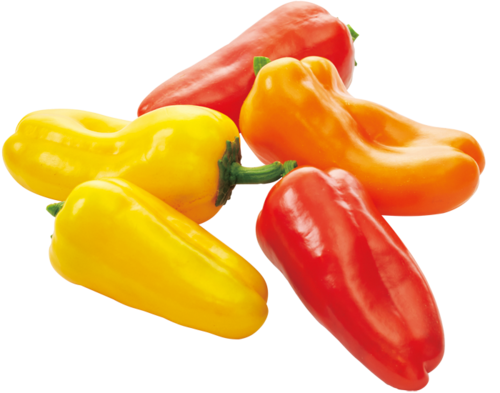 ピーマン「ぱぷ丸　オレンジ」（小袋） 画像