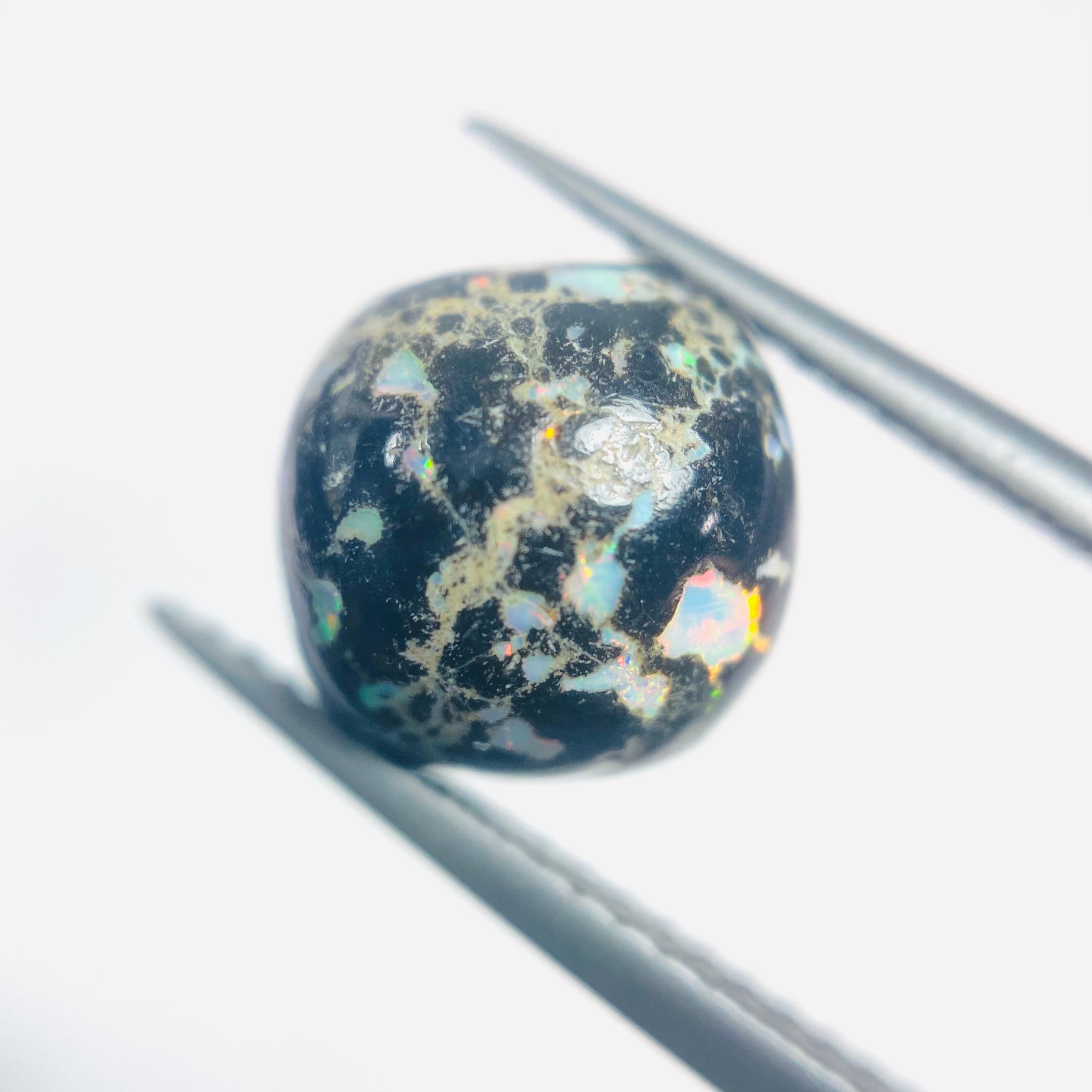 オサレなレオパードオパール2