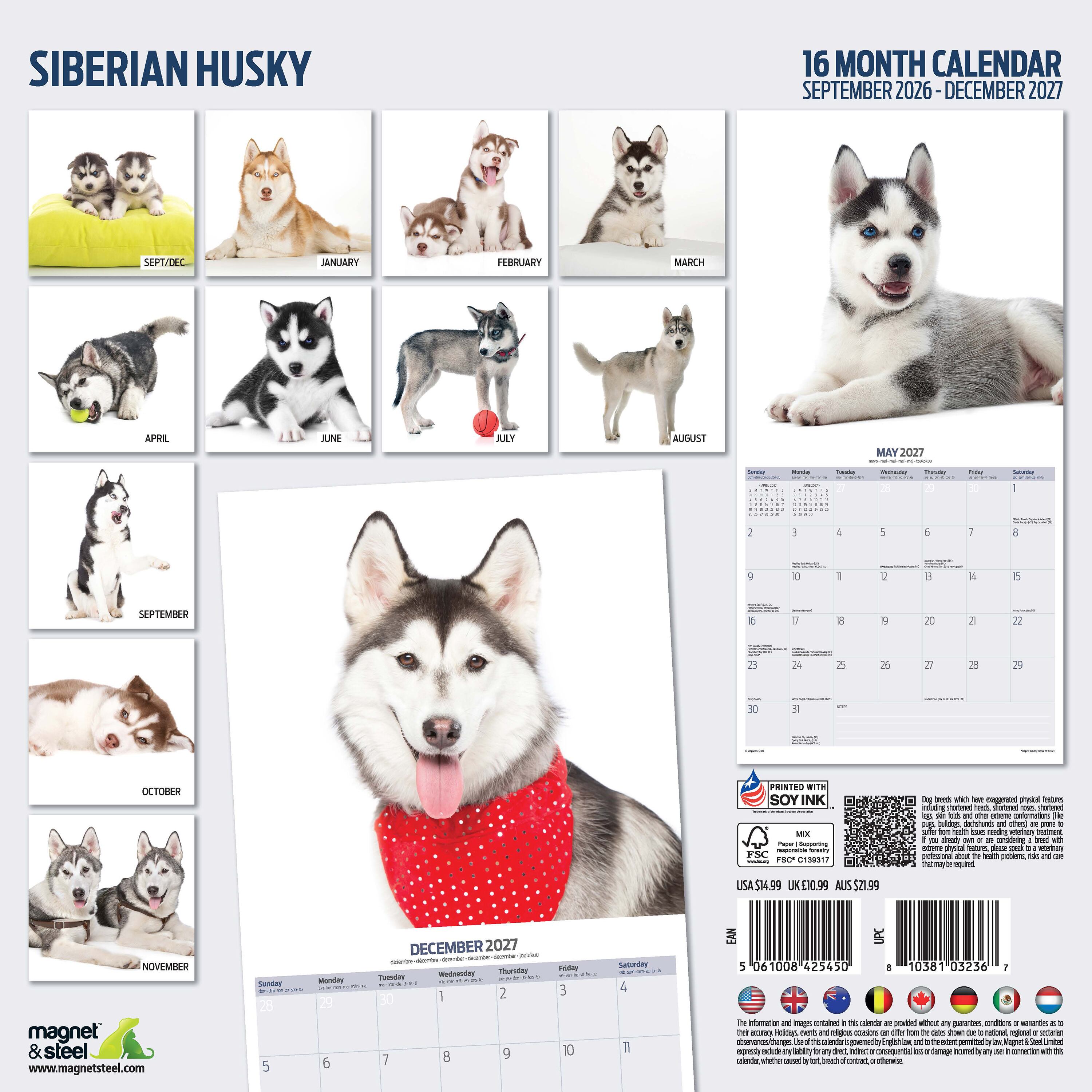 【2027年版】英国製犬種カレンダー【シベリアンハスキー】 Modern 2027年版
