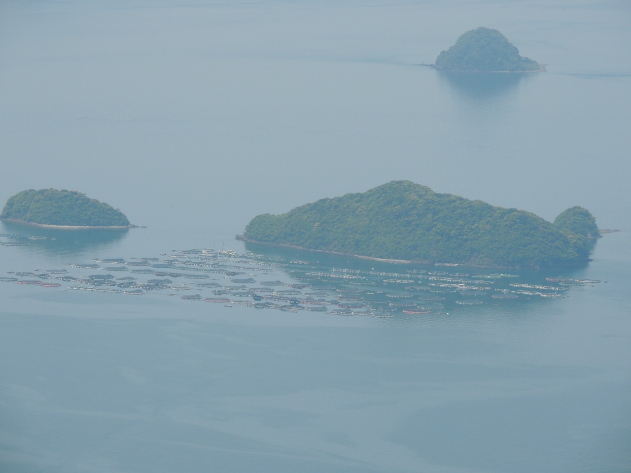 みやび鮪 食べ尽くしセット【800g】