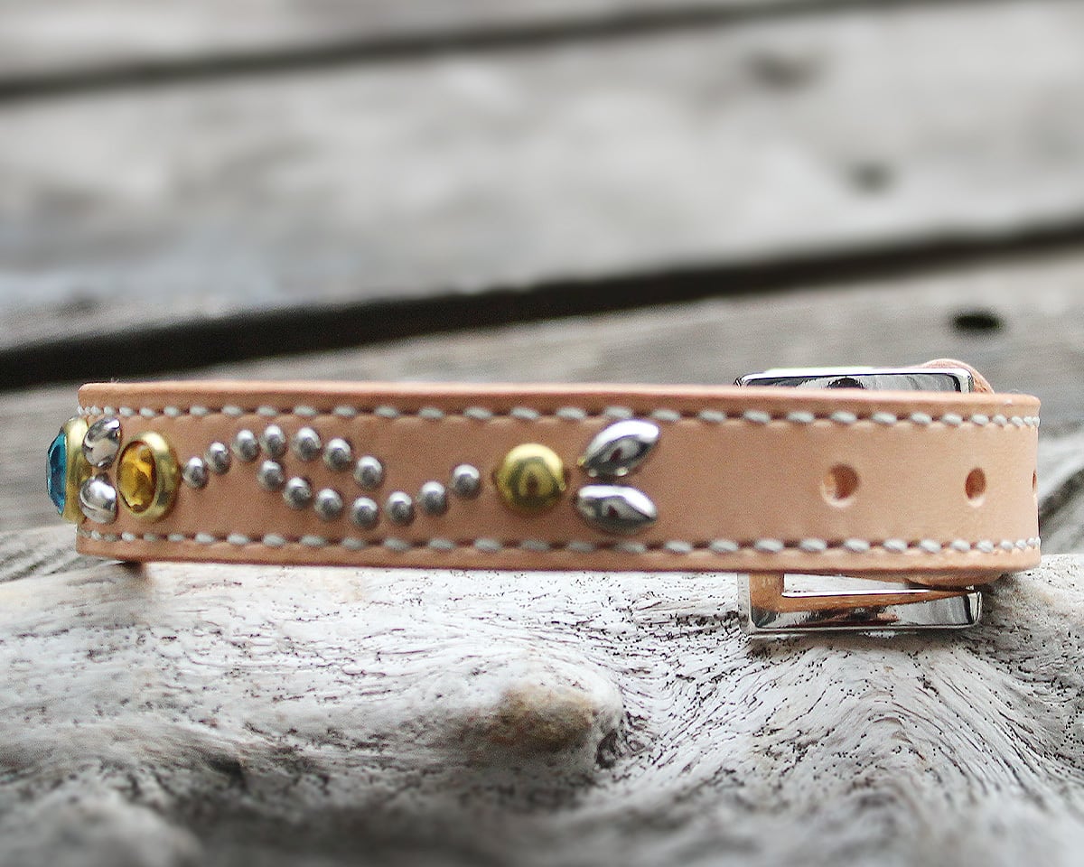 小型犬～中型犬用首輪 20mm幅 26㎝～37㎝ シュナウザー、コッカー