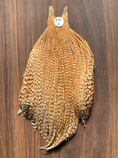 【METZ】 COCK NECK HACKLE BARRED GINGER Grade 3 bg4