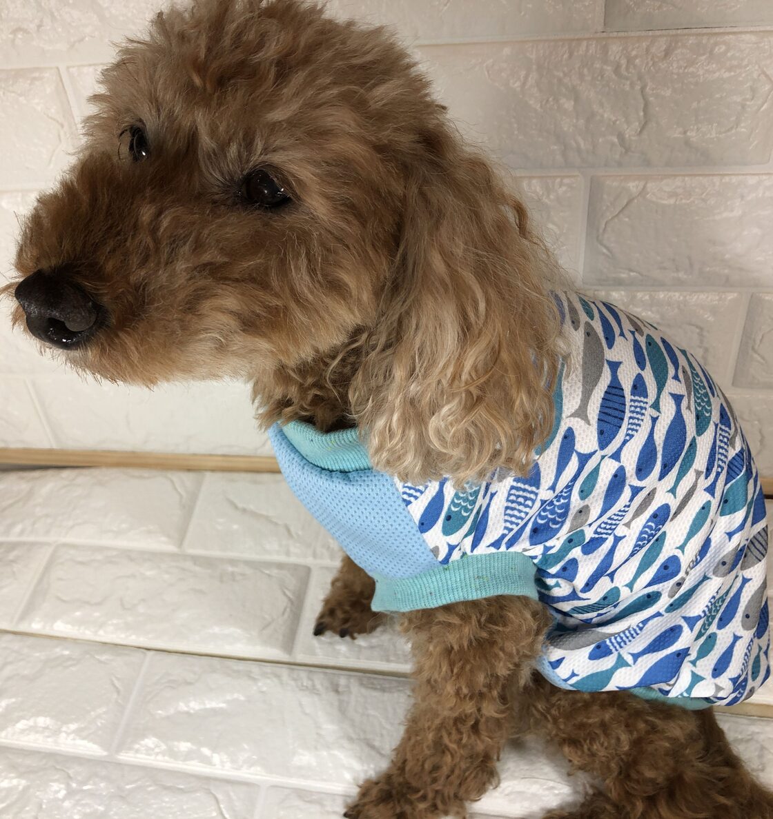 ハンドメイド 犬服 メッシュ タンクトップ 唐草模様 ペット服 （冷～ん 