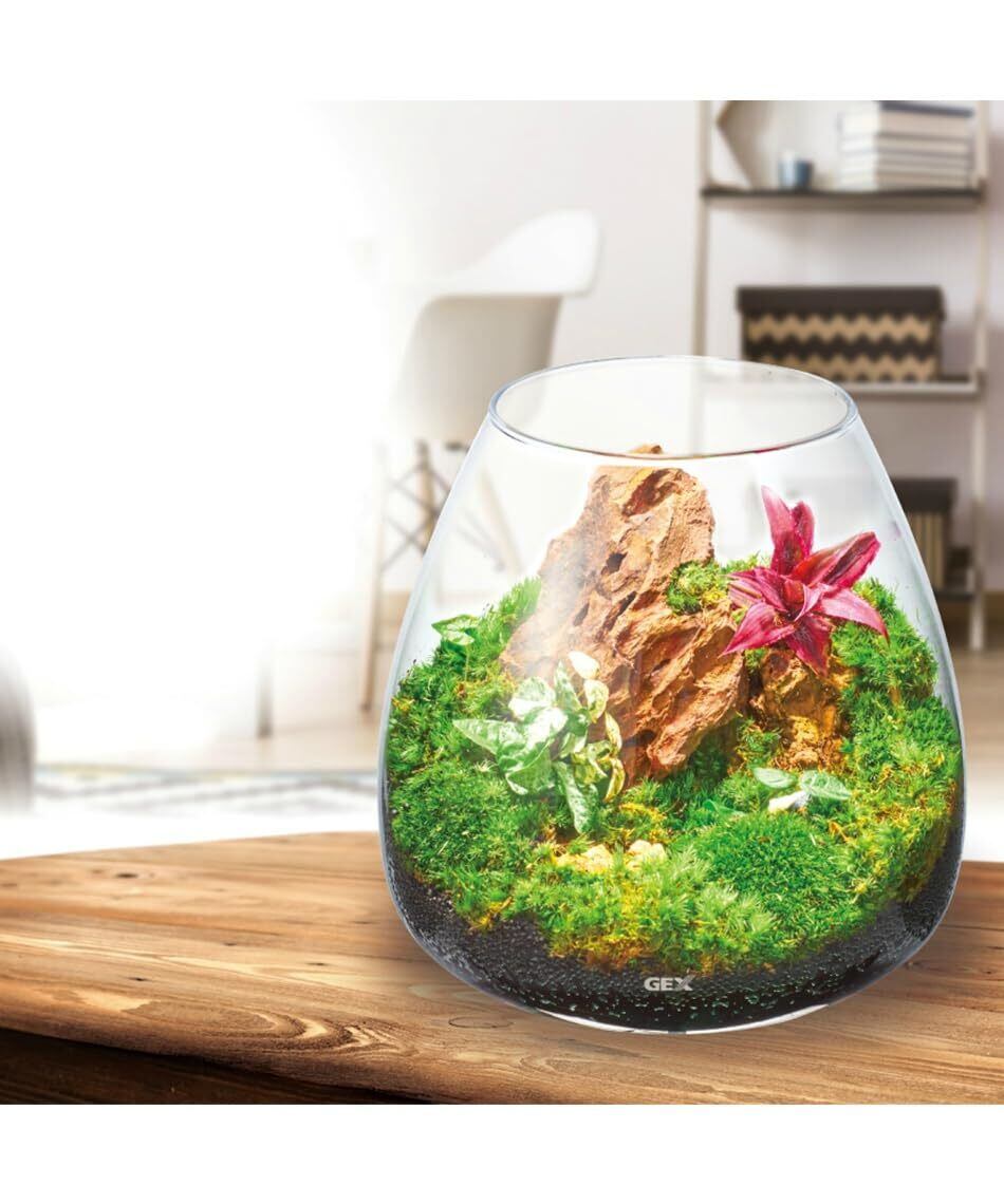 ジェックス GEX AQUARIUM グラスアクア ティアー-N アクアリウム 小型