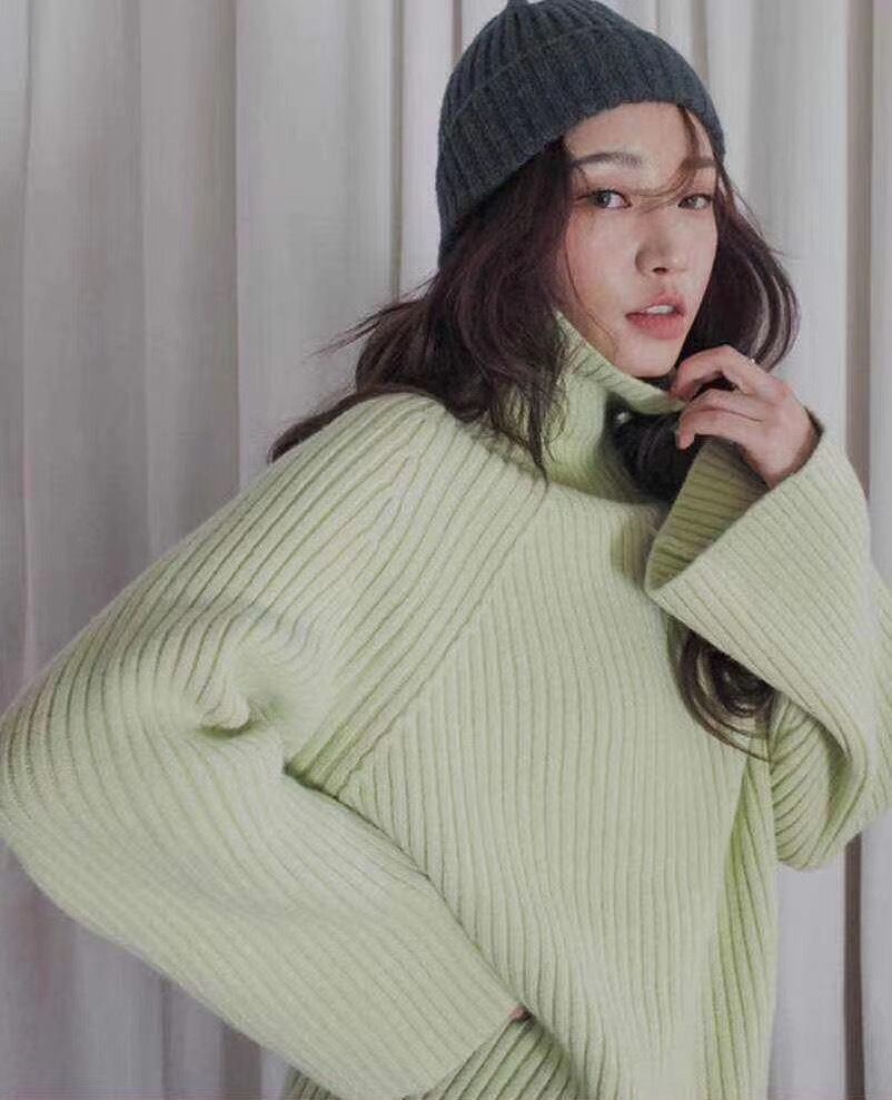 タートルネックリブニット