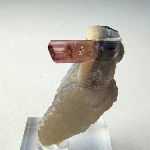 エルバイト / マスコバイト【Elbaite with Muscovite】ブラジル産