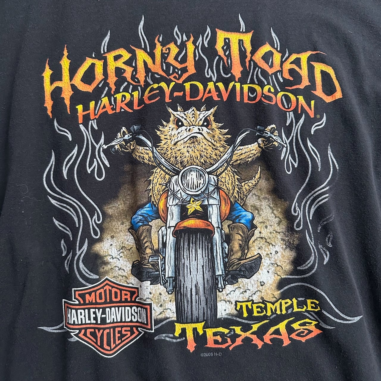 HARLEY DAVIDSON バックトカゲライダー ハーレー 両面 半袖Tシャツ 黒