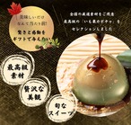 いも栗カボチャ水晶 送料無料水晶9個入り 高級 スイーツ ギフトお取り寄せ インスタ映え  スイーツ モンブラン 和菓子 洋菓子 プレゼント