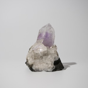 ブランドバーグ ゴボボセブ アメシスト アメジスト / 原石 標本【BIG_2】