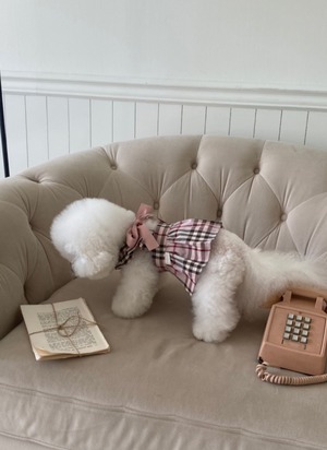 即納【Hi Yeboo】The Fall Dress ダスティピンク