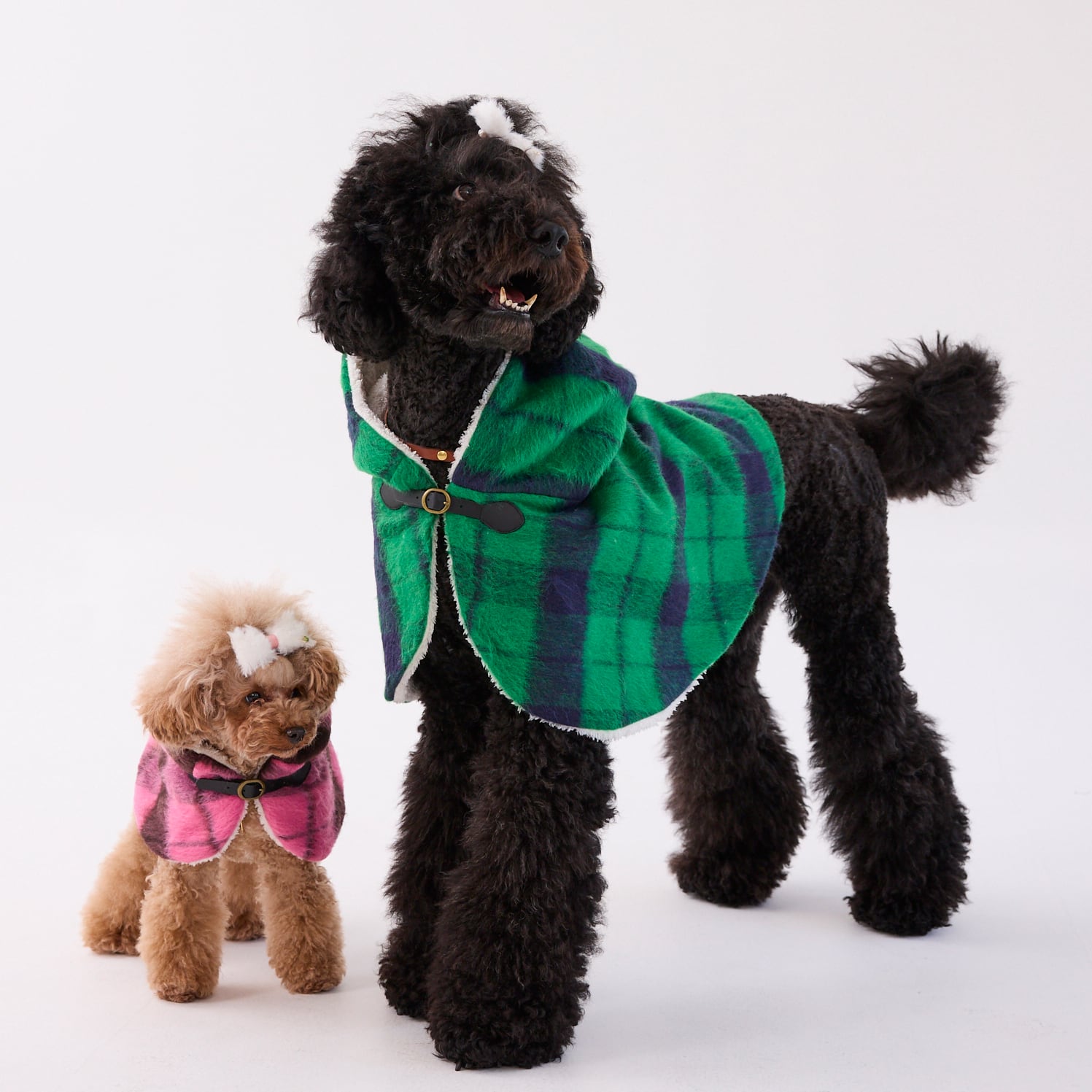 244322 大型犬サイズ] フード付きマント | 犬服ブランド 2e deuxieme