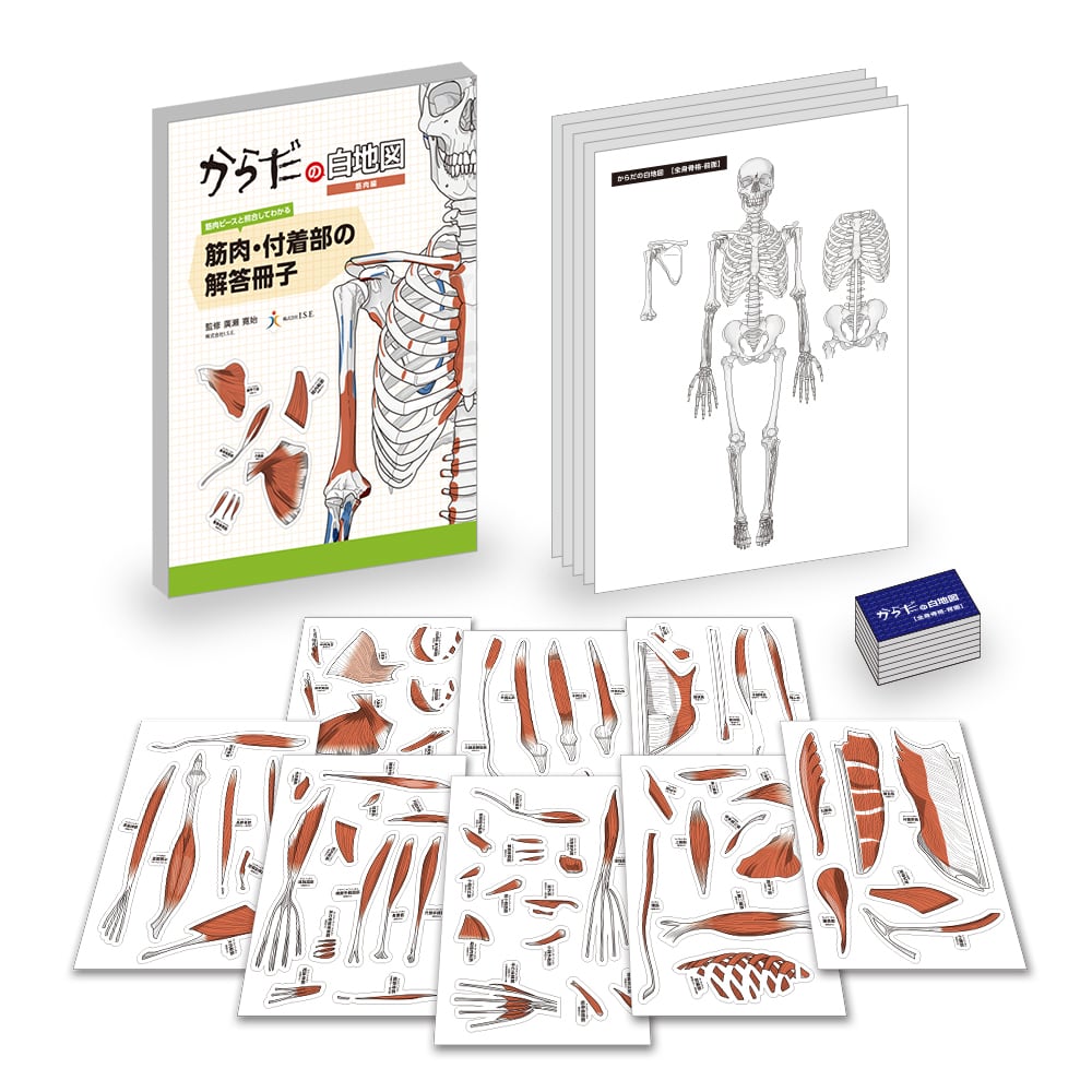 筋膜アプローチセミナー オンライン