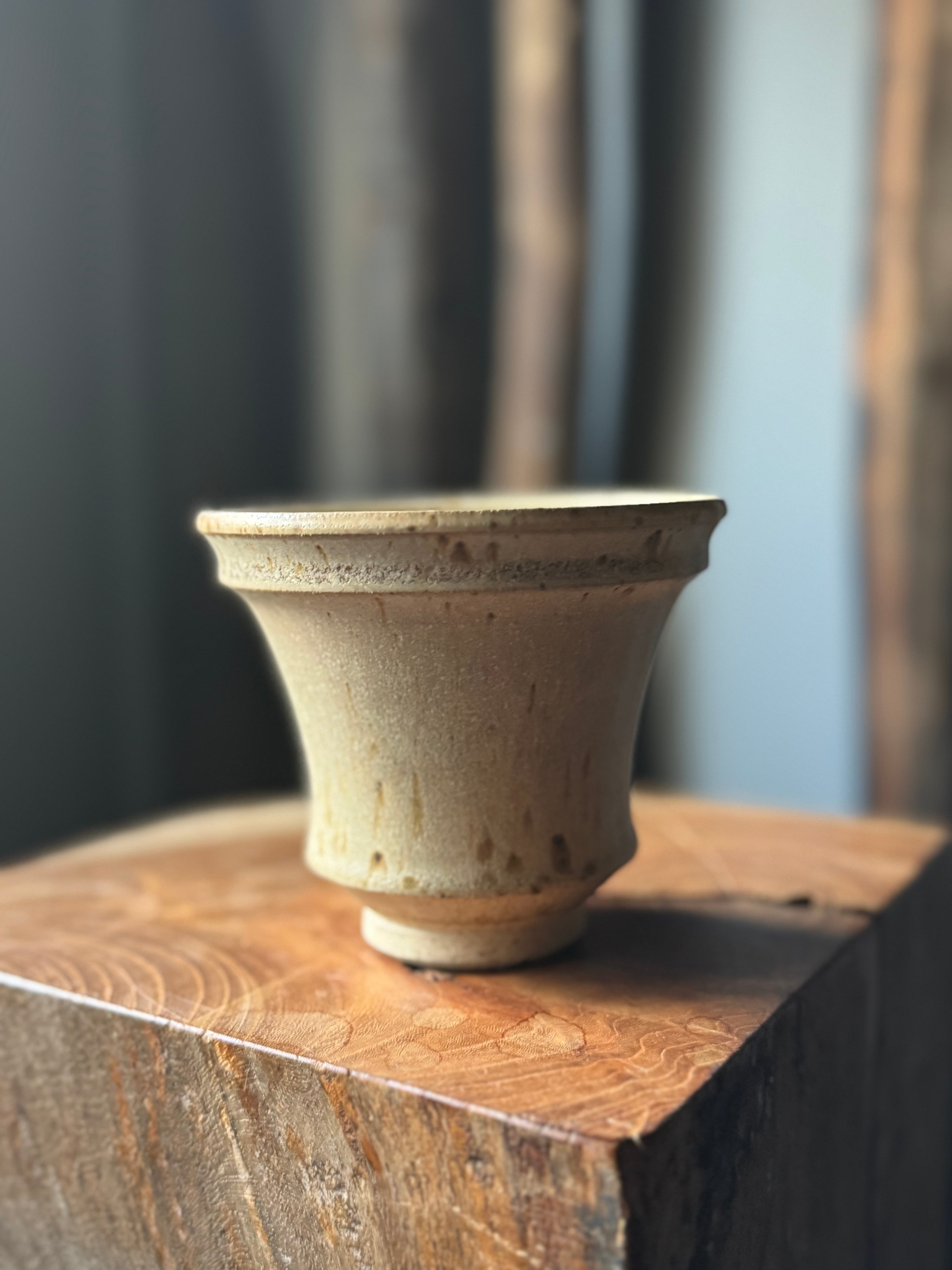 閑野 淳 (deracinefactory) | 青坊主-aobouzu-