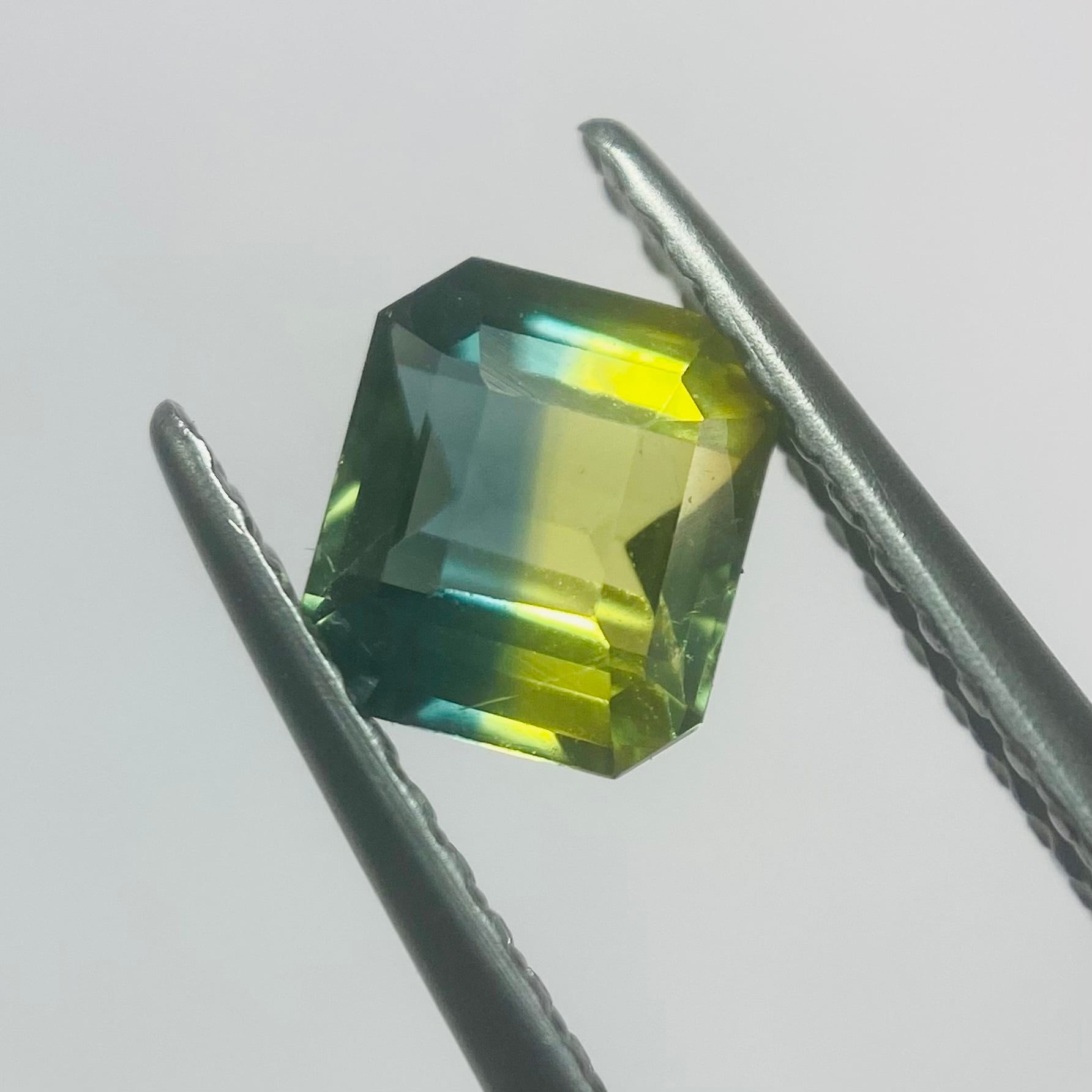 幸せの小鳥　バイカラーサファイア