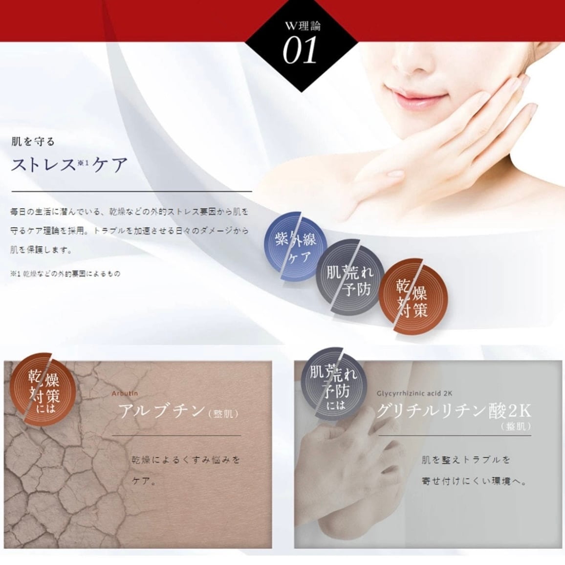 エニシー エンビィセラム 30ml / enisie（エニシー） | 【正規販売店