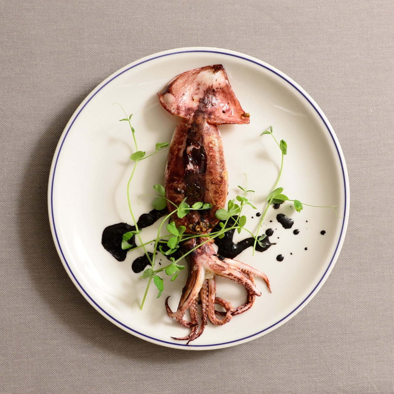 サタルニア ローマ ブルーライン ディナープレート 27