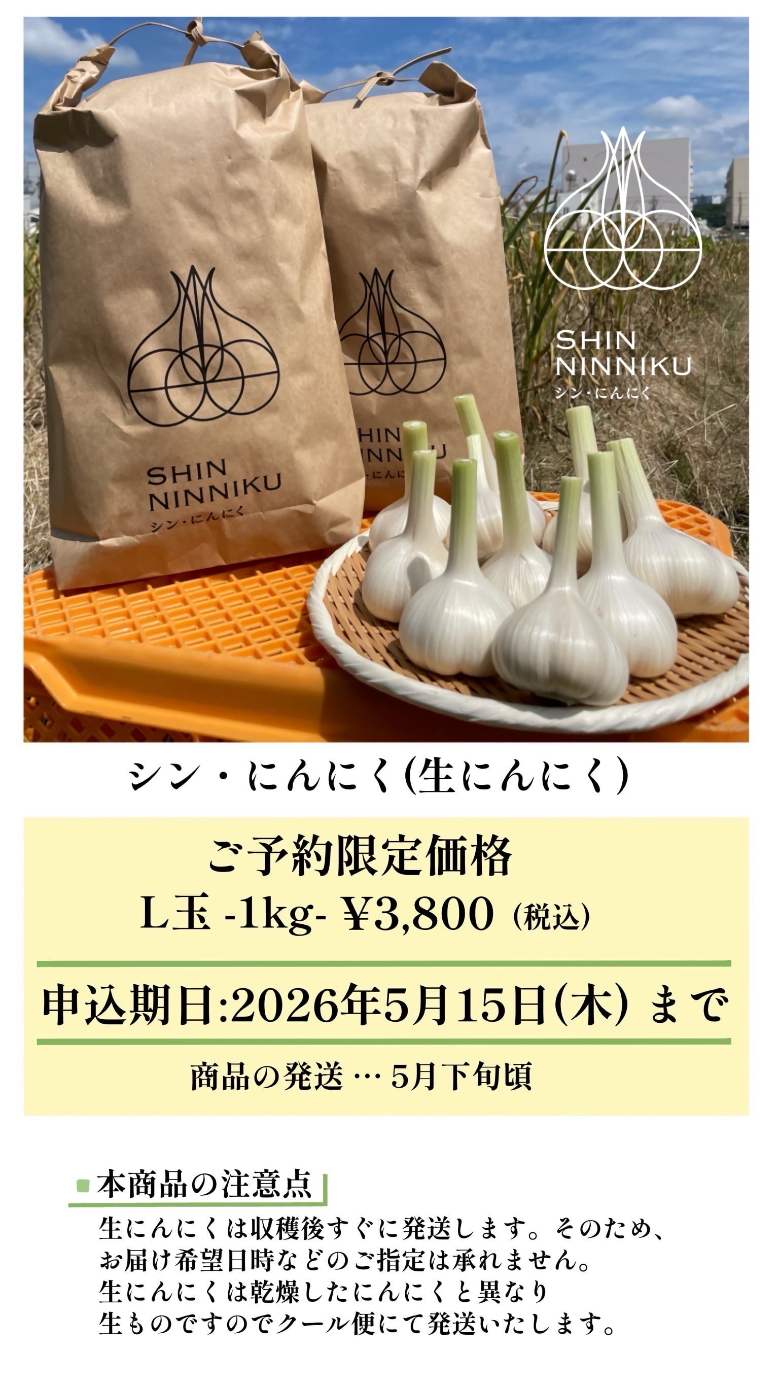予約商品】生にんにく（シン・にんにく）Aランク Lサイズ 1kg（ 8-10玉