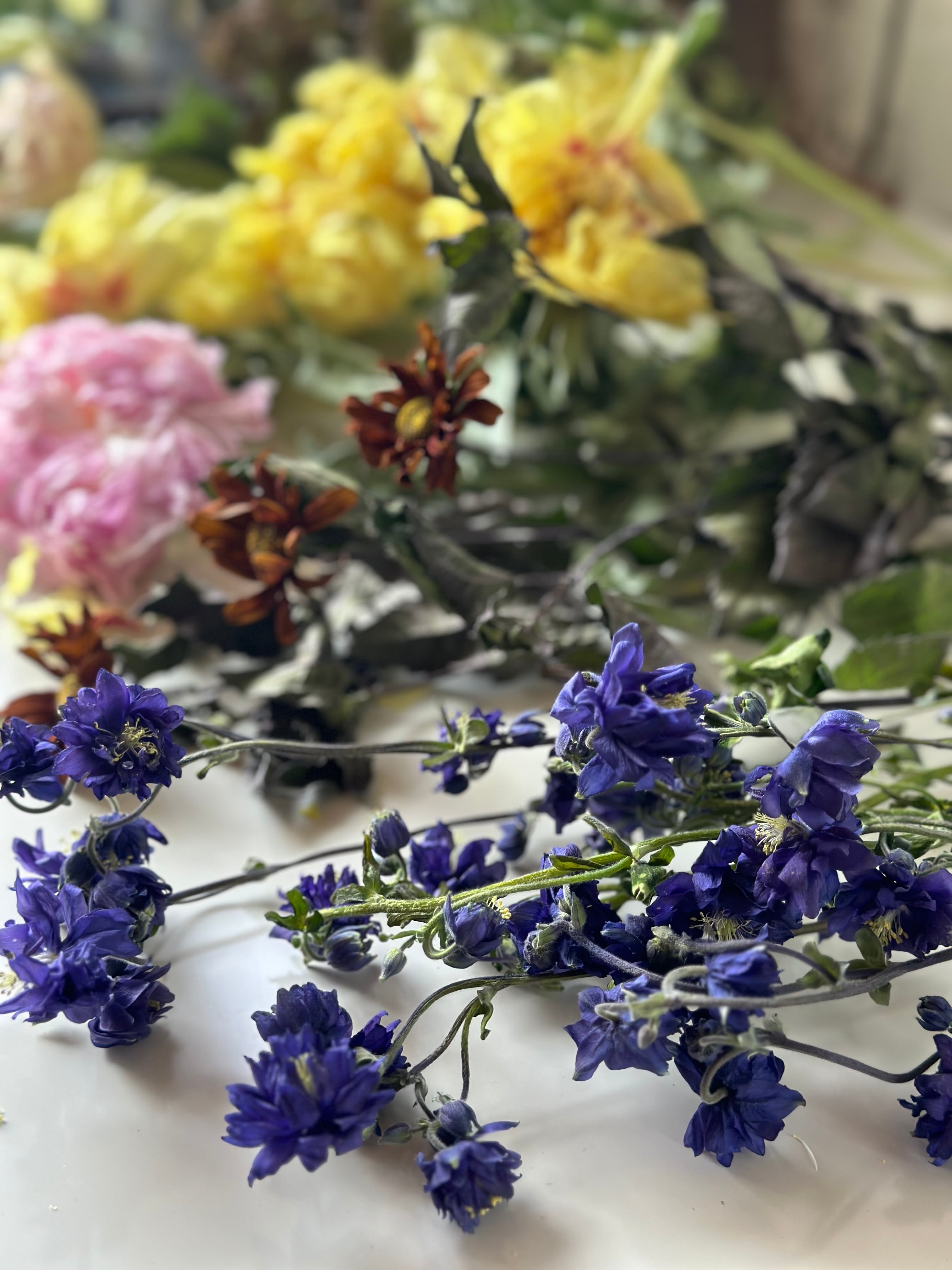 フラワー・ガーデニング htrurujrt 71564b+5GvL._UF350,350_QL50_.jpg