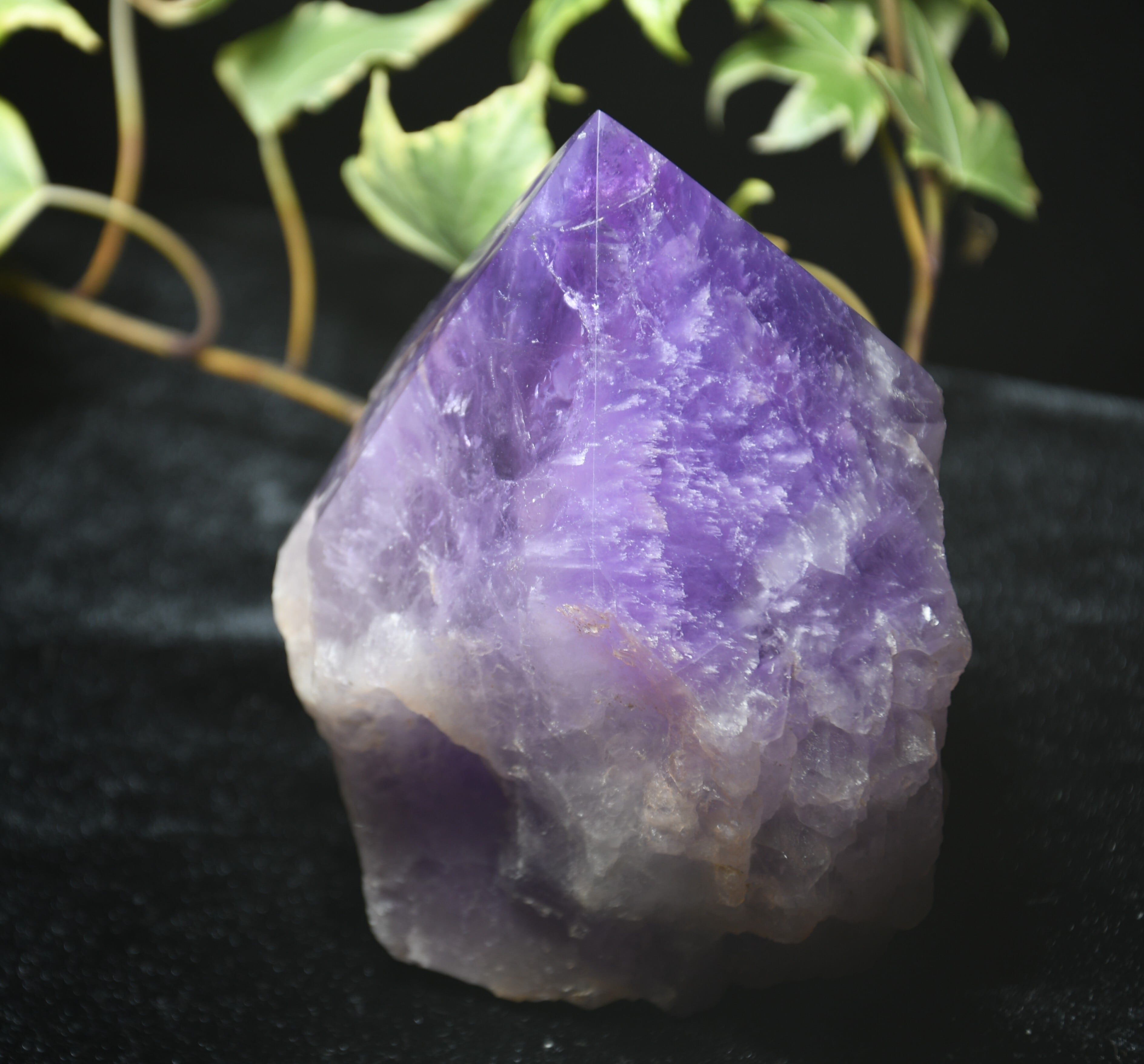 紫の聖典 〜ニーラ・シャーストラ〜 —— アセンデッドマスター・クツミの叡智が宿るアメジスト(CASA Blessing®)amt-a1005