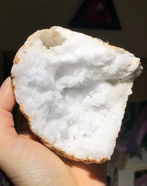 真っ白な生命たち・全身にエネルギーを巡らせる