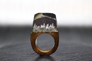 【送料無料】Silver World～Resin Wood Ring～
