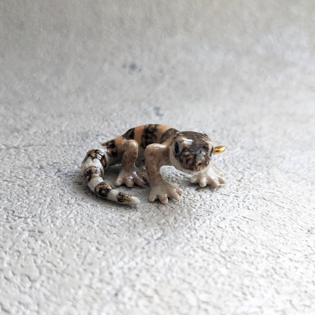 【charm】 Leopard gecko