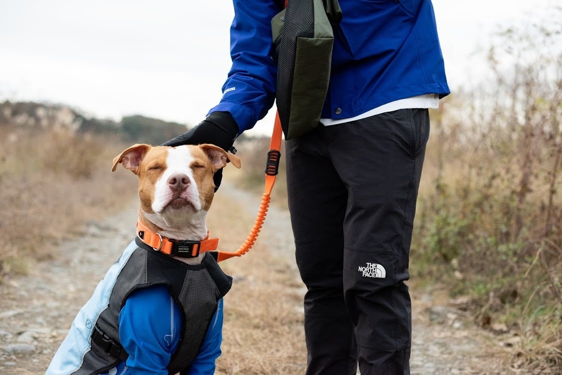 グ*ン様 サイバードッグCYBERDOG　イギリス製　ナイロンエプロンミニスカー グ*ン様 サイバードッグCYBERDOG イギリス製 ナイロンエプロン