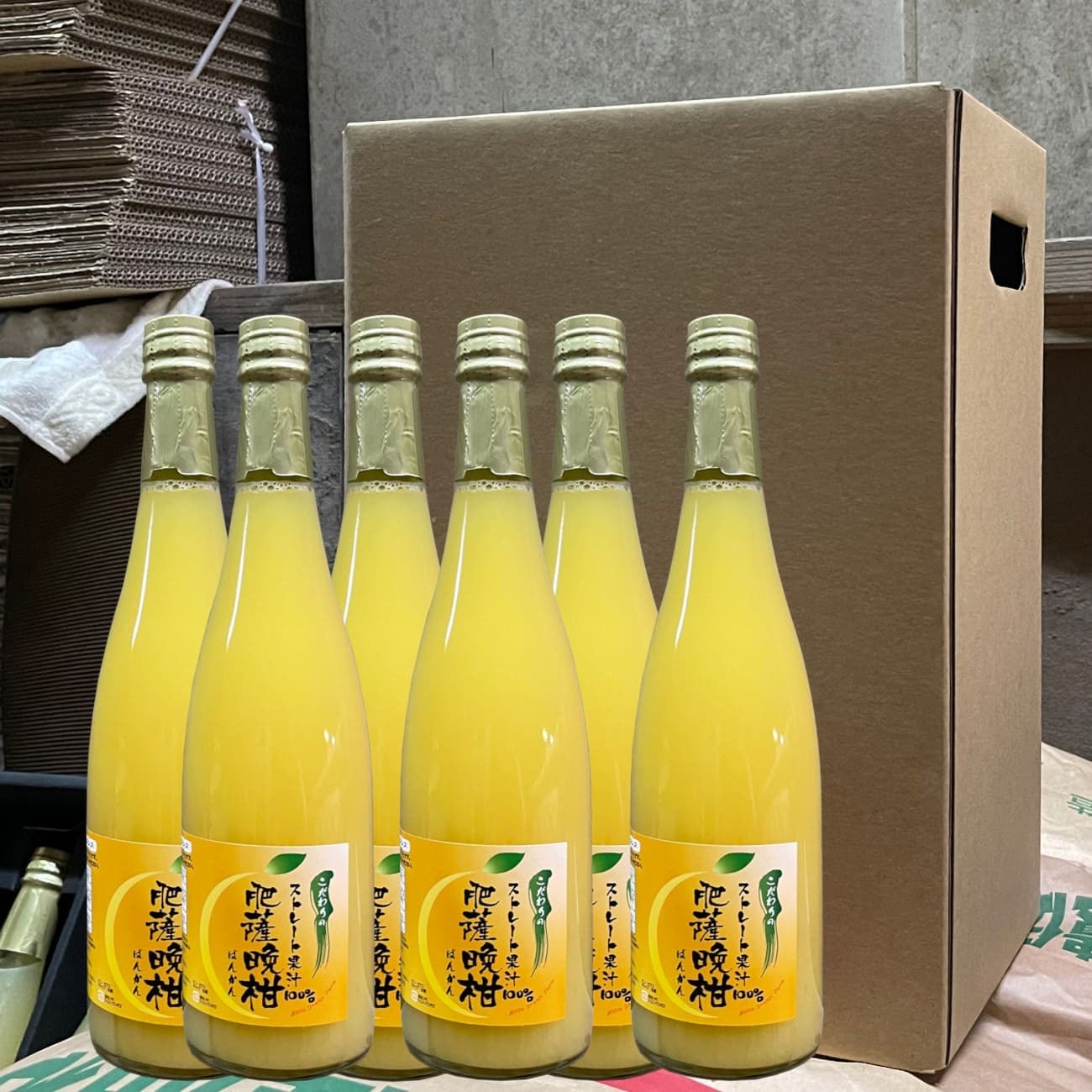 河内晩柑ジュース 6本セット 600ml ストレート 100％ 無添加 和製グレープフルーツ 新田農園