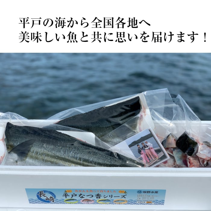 平戸なつ香ブリ(約4.5㎏) 三枚おろし・真空パック 送料無料 青空