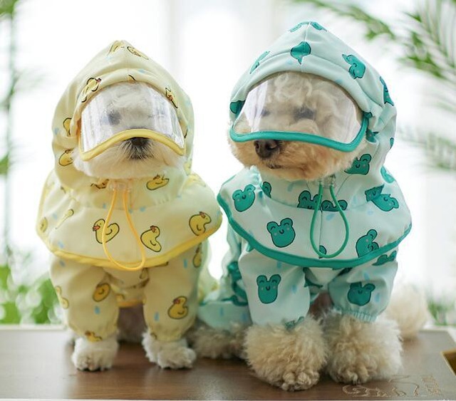 《予約》2101353 にっこりカエル&アヒルレインコート