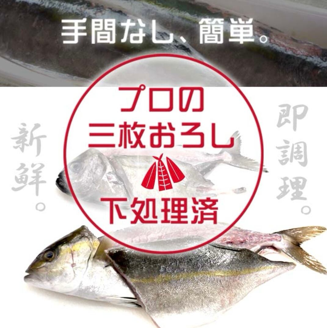 鮮魚セット 3枚おろし 7種類以上 詰め合わせ 『 三浦半島 産地直送 朝