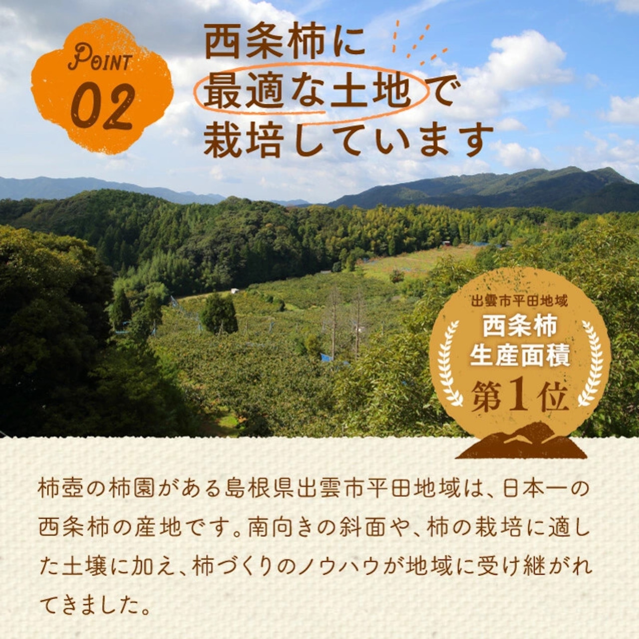 【2025年産】【11月発送】西条柿 4L 21玉（5ｋｇ）たしなみ