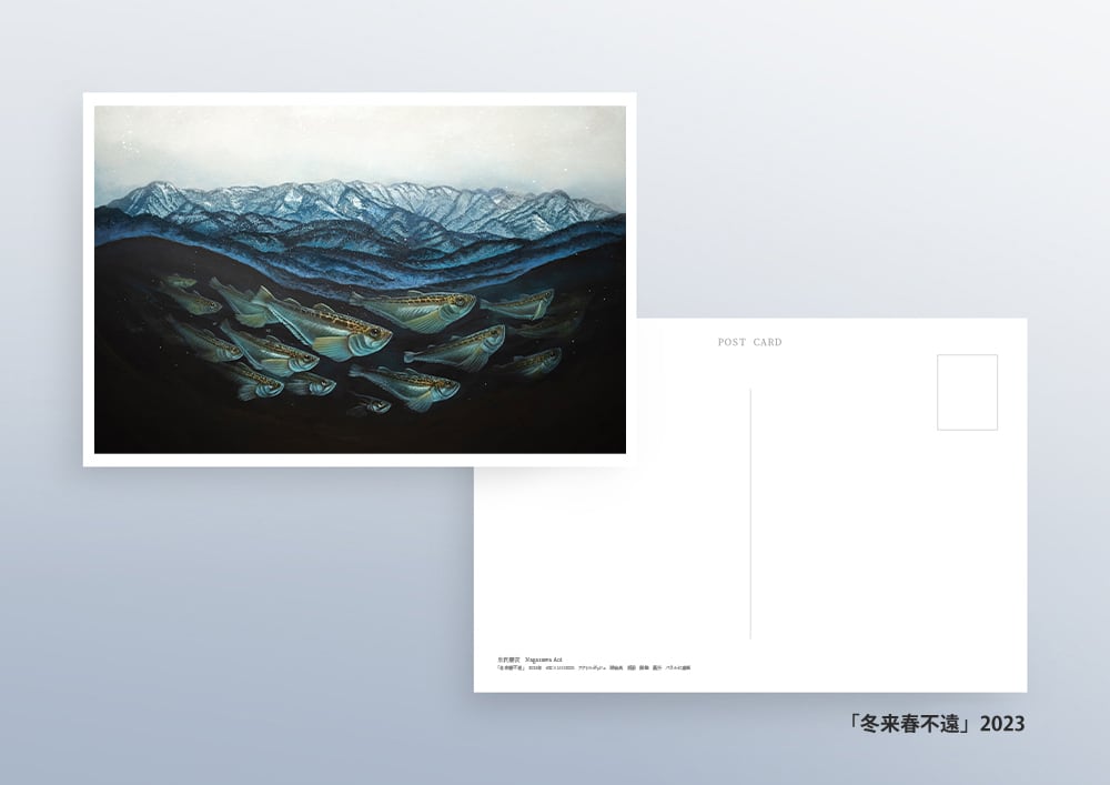 アートポストカード各種 | AOI NAGASAWA SHOP
