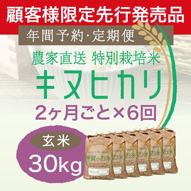 玄米30kg 先行販売〈年間予約・定期便〉農家直売・特別栽培米 ミルキー