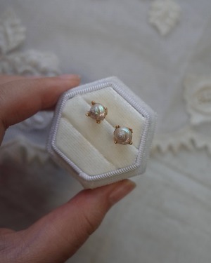White seashell pierce2