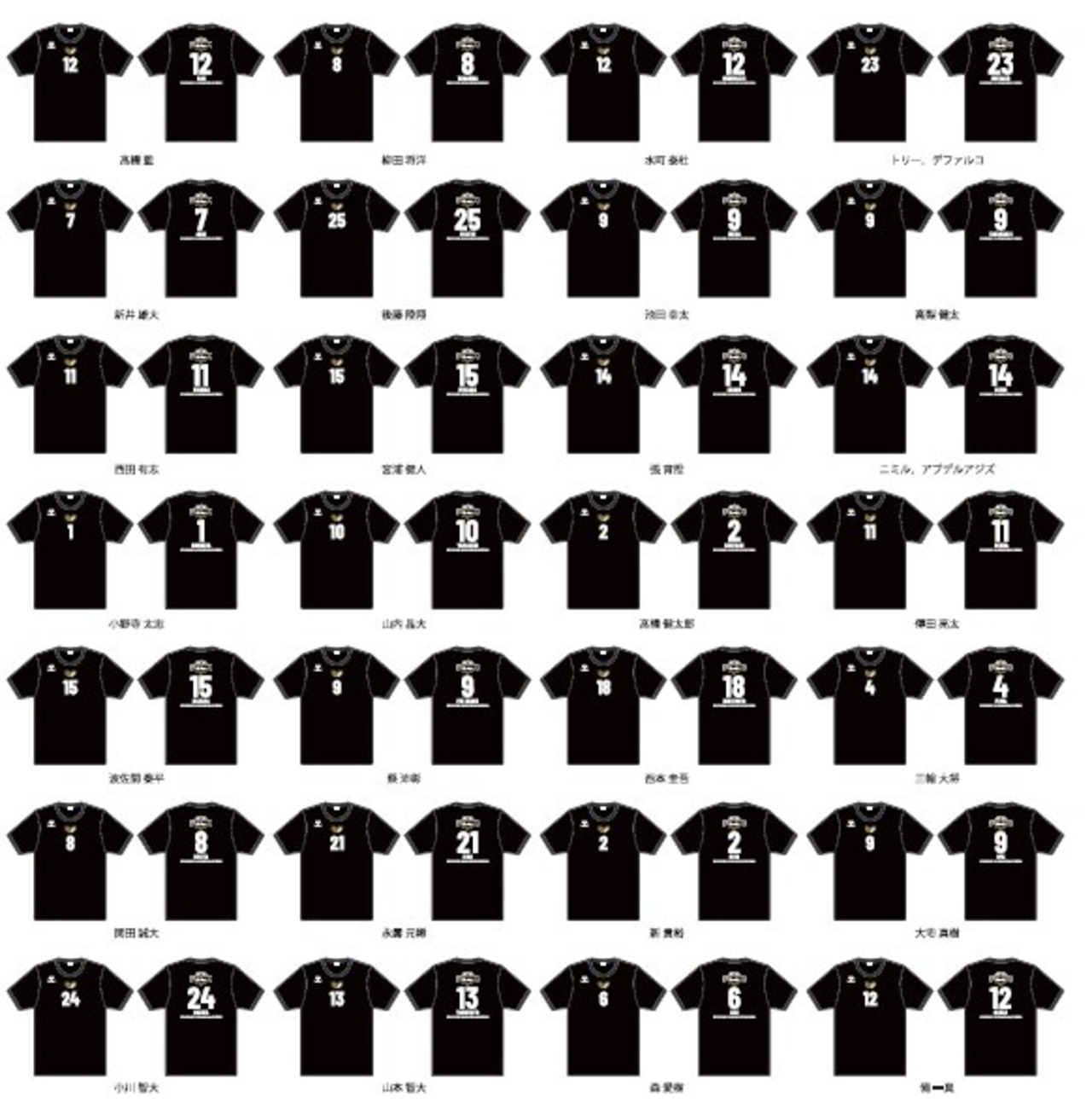 プレイヤーズTシャツ MEN （ALL STAR 2024-25） | SV.LEAGUE OFFICIAL 